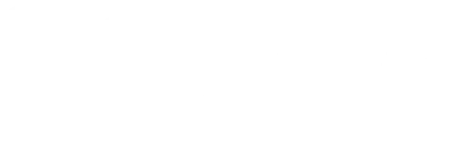 Morphotonics 魔飞光电